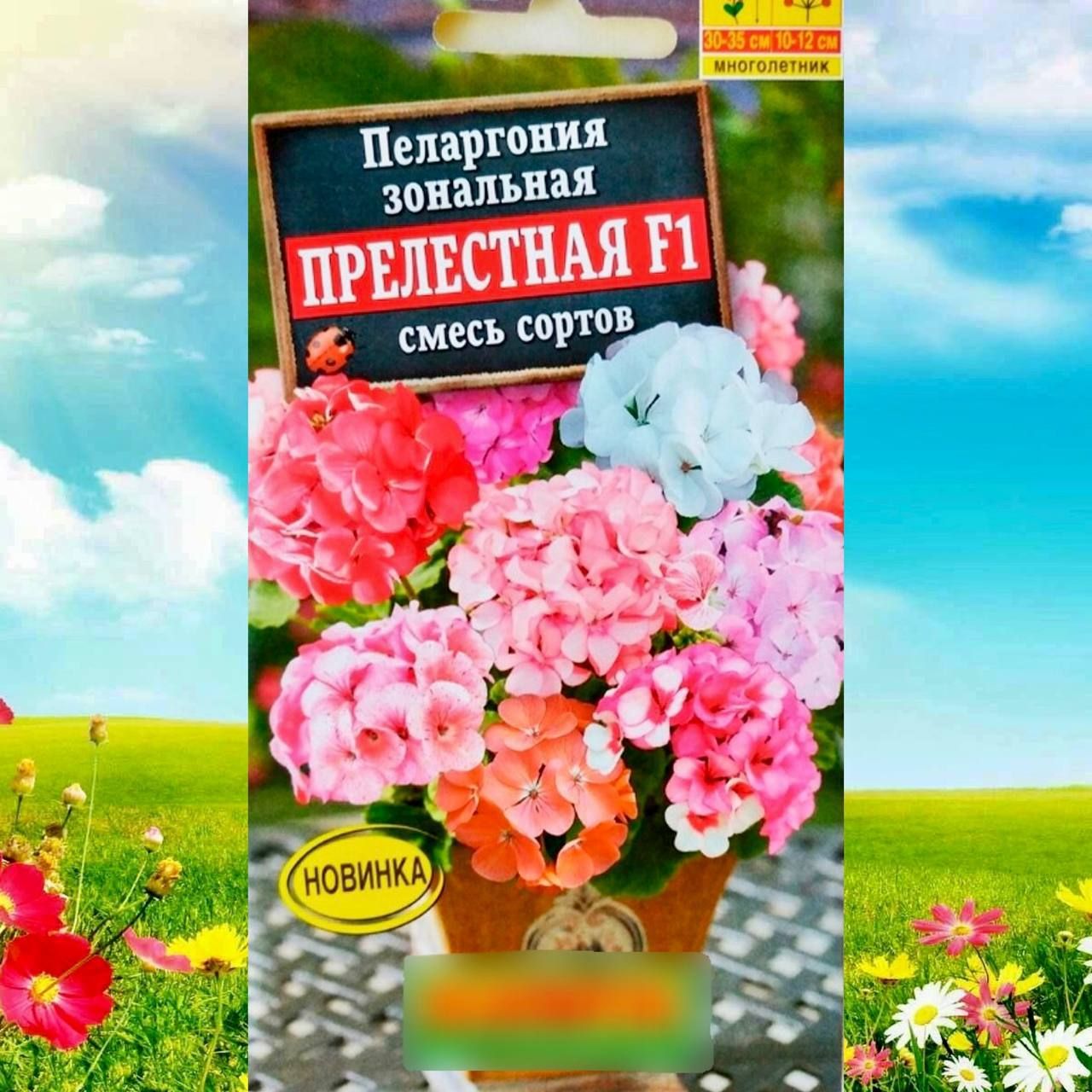 Купить Семена Пеларгонии Аэлита