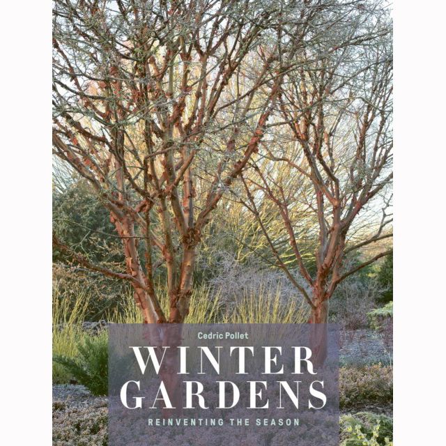 Winter Gardens: Reinventing the Season