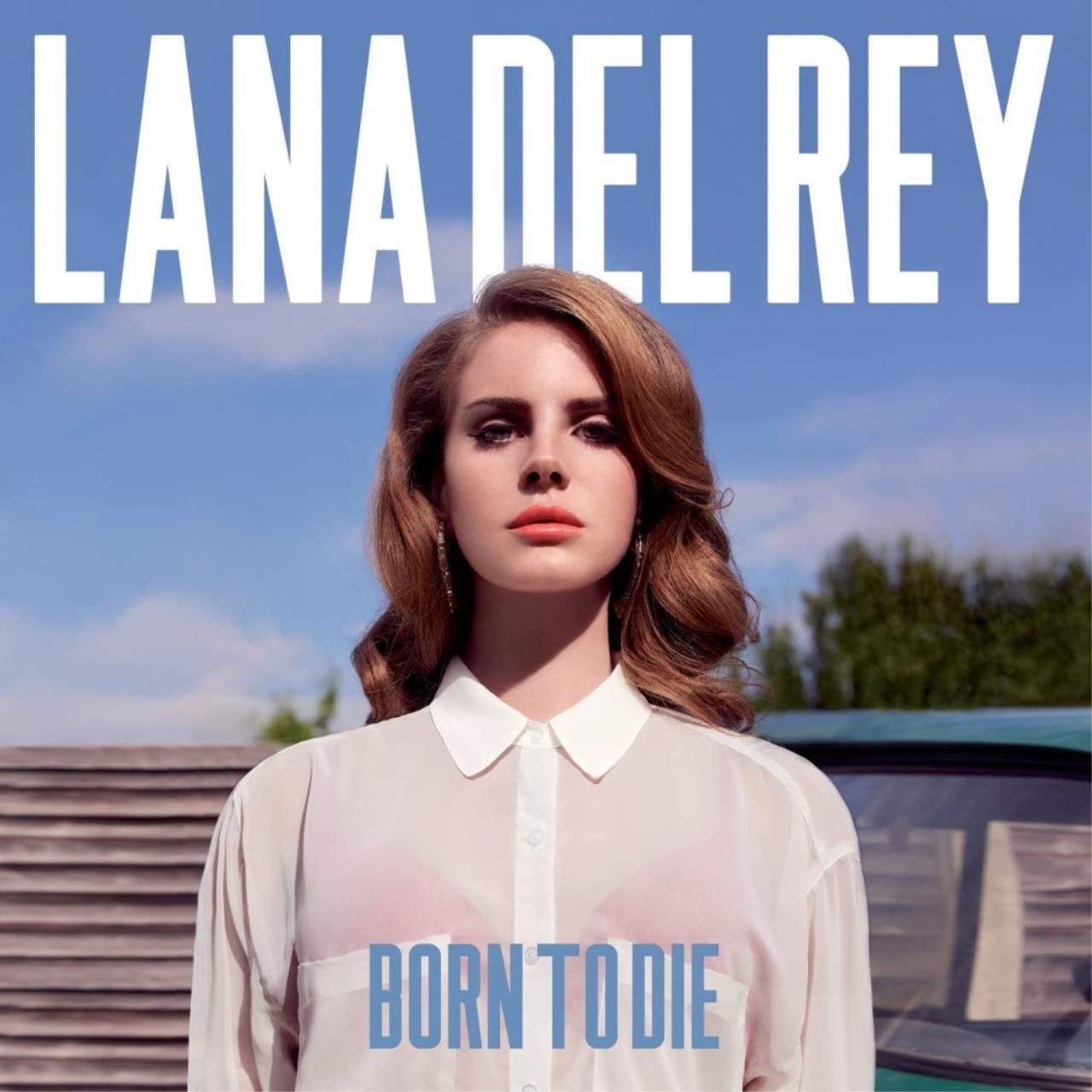 Виниловая пластинка Lana Del Rey - Born To Die