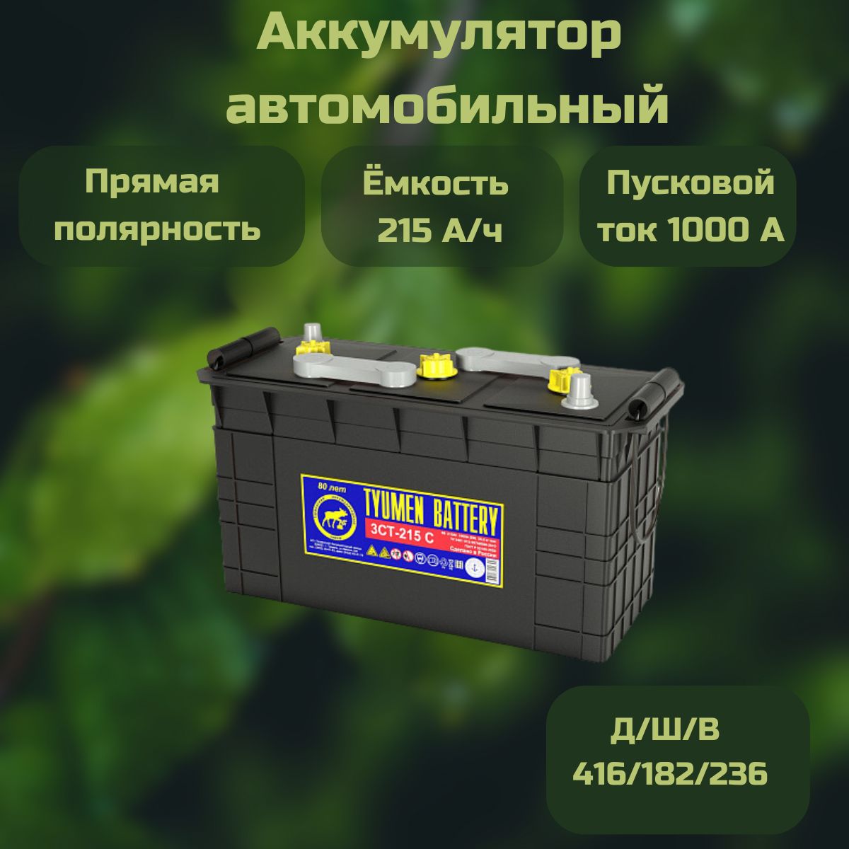 АвтомобильныйАккумуляторTYUMENBATTERY215Ачполярностьпрямая