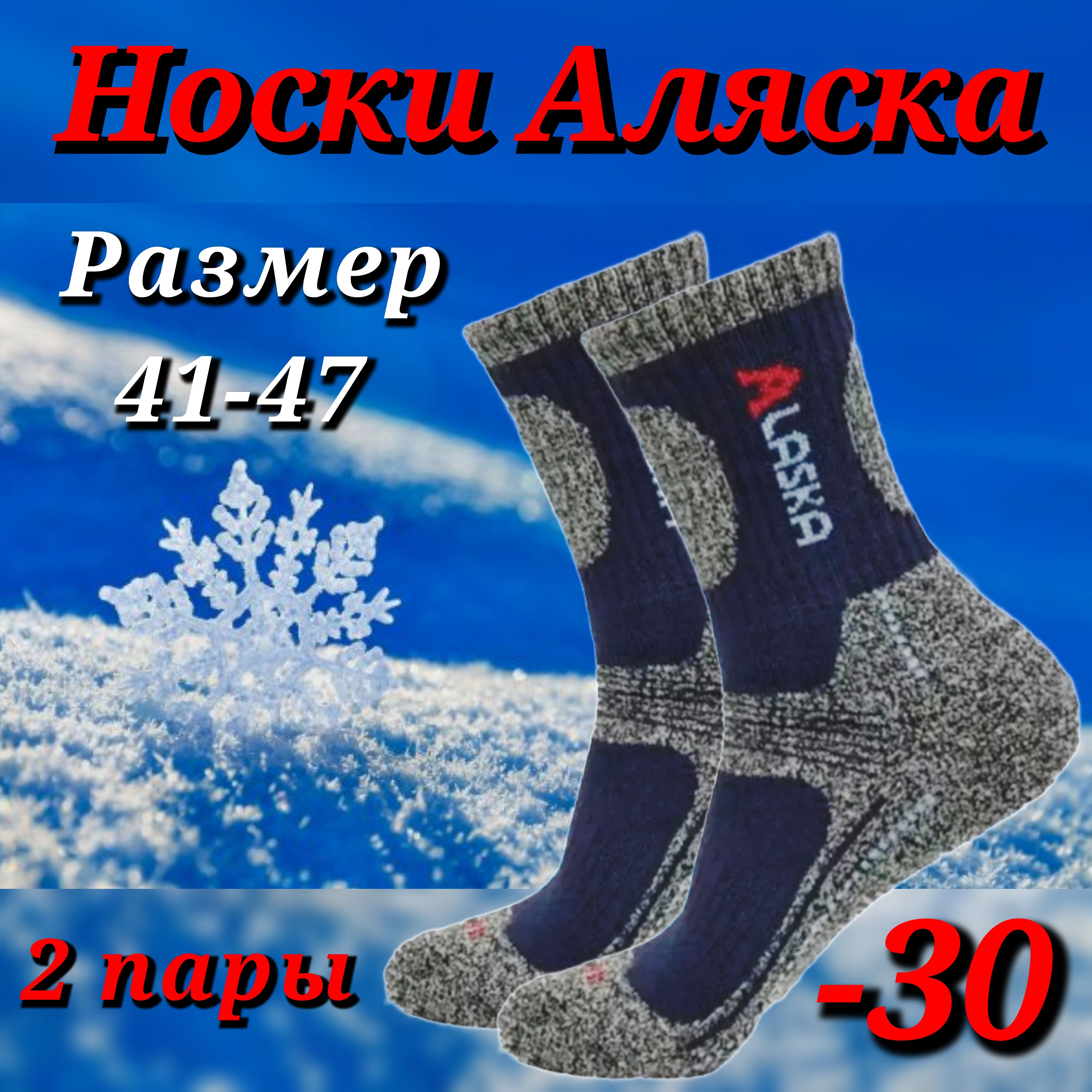 Термоноски Туркан socks, 2 пары