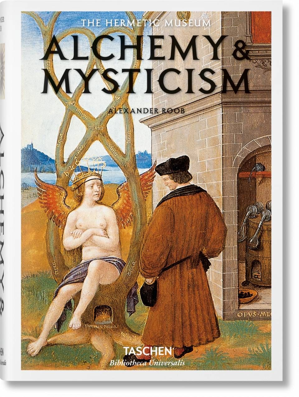 Alchemy & Mysticism (Biblioteca Universalis)