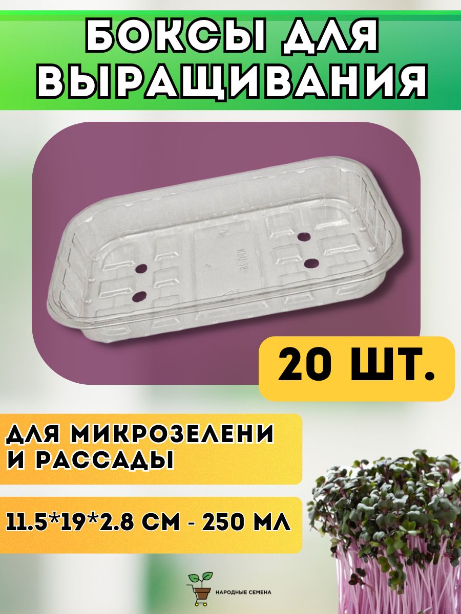 Лотки для выращивания микрозелени