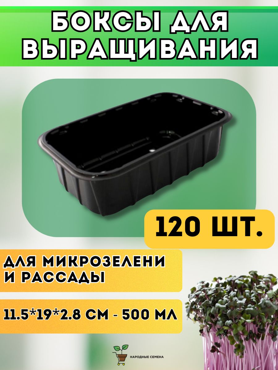 Лотки для выращивания микрозелени