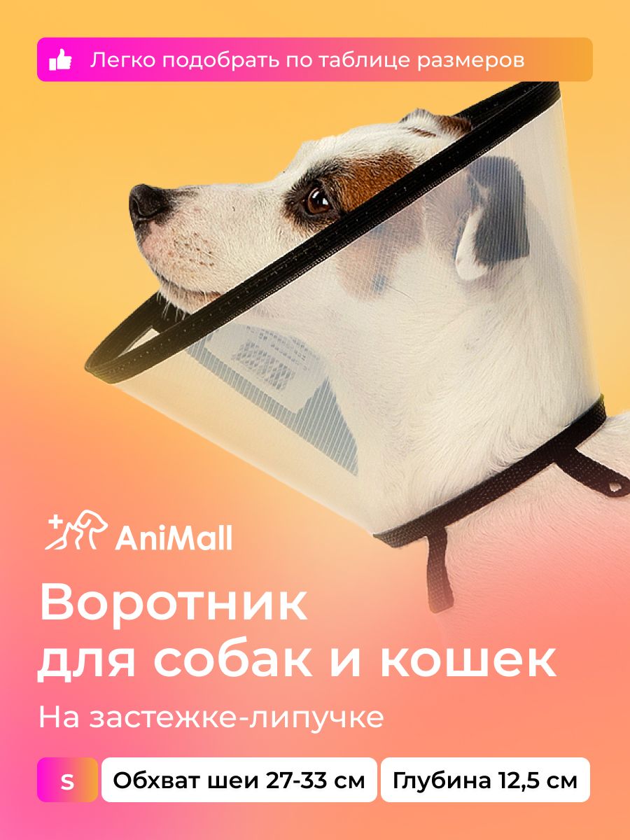 Воротник защитный ветеринарный для собак и кошек № 12,5 см, на липучке для мелких пород / AniMall купить на OZON по низкой цене (646943339)