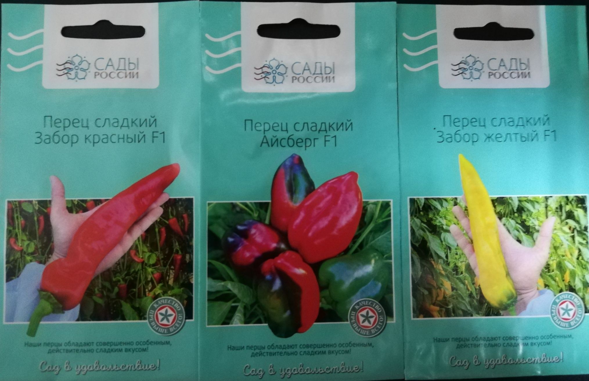 Перец сорта Гордость России на кусте