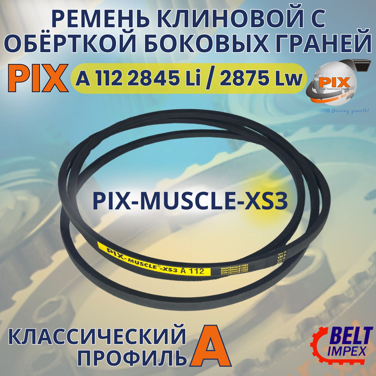 PIX-MUSCLE-XS3Ременьклиновой/A1122845Li/2875Lw/Классическоесечение