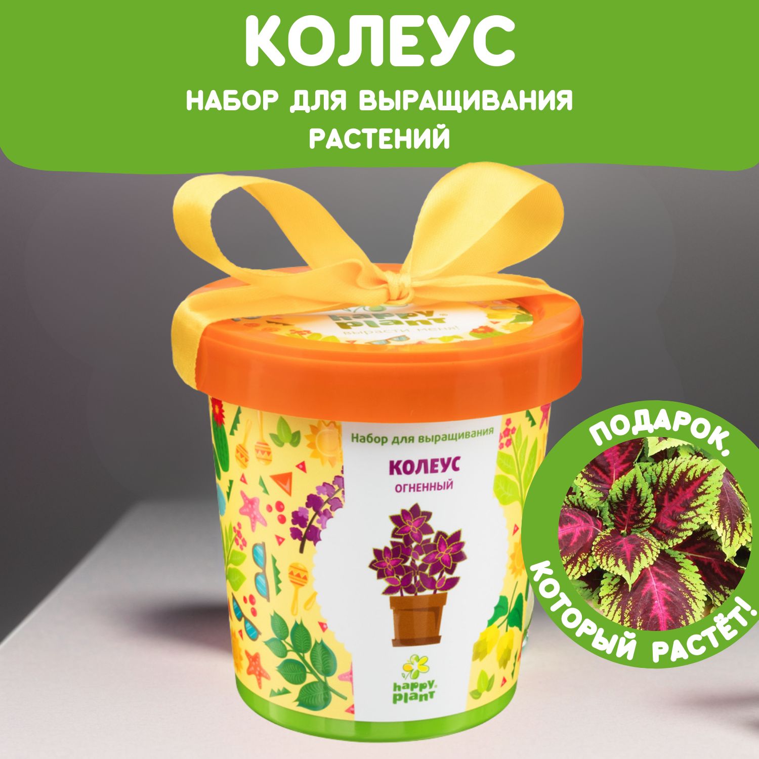 Набор для выращивания растений Happy Plant Колеус огненный, семена комнатных растений в подарочном горшке