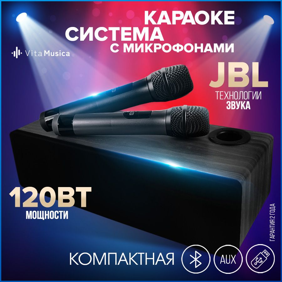 Караоке система Vita Musica с двумя беспроводными микрофонами