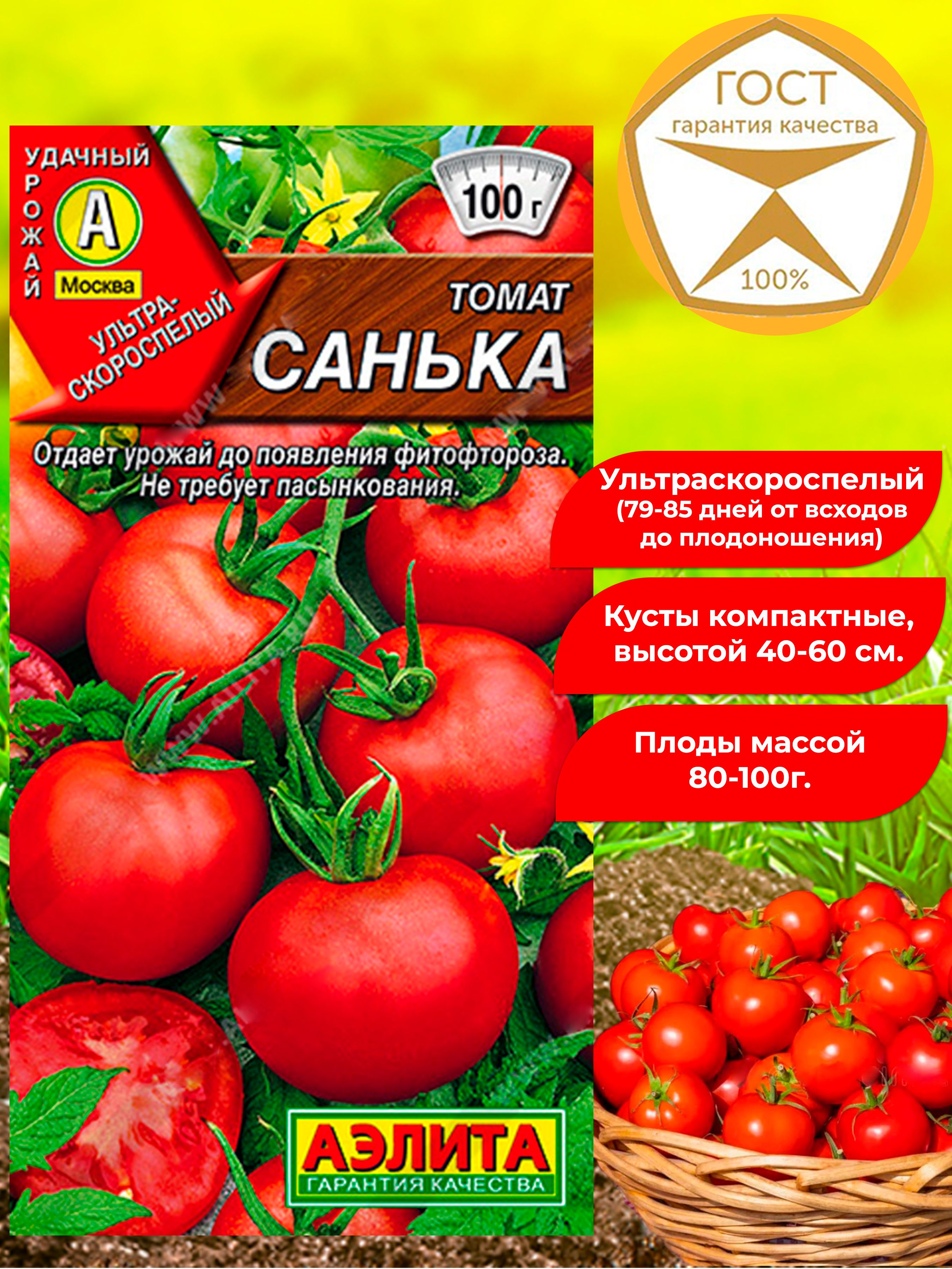 Семена томата Санька. Томат низкорослый, ультраскороспелый. Отличные вкусовые качества, ароматный.