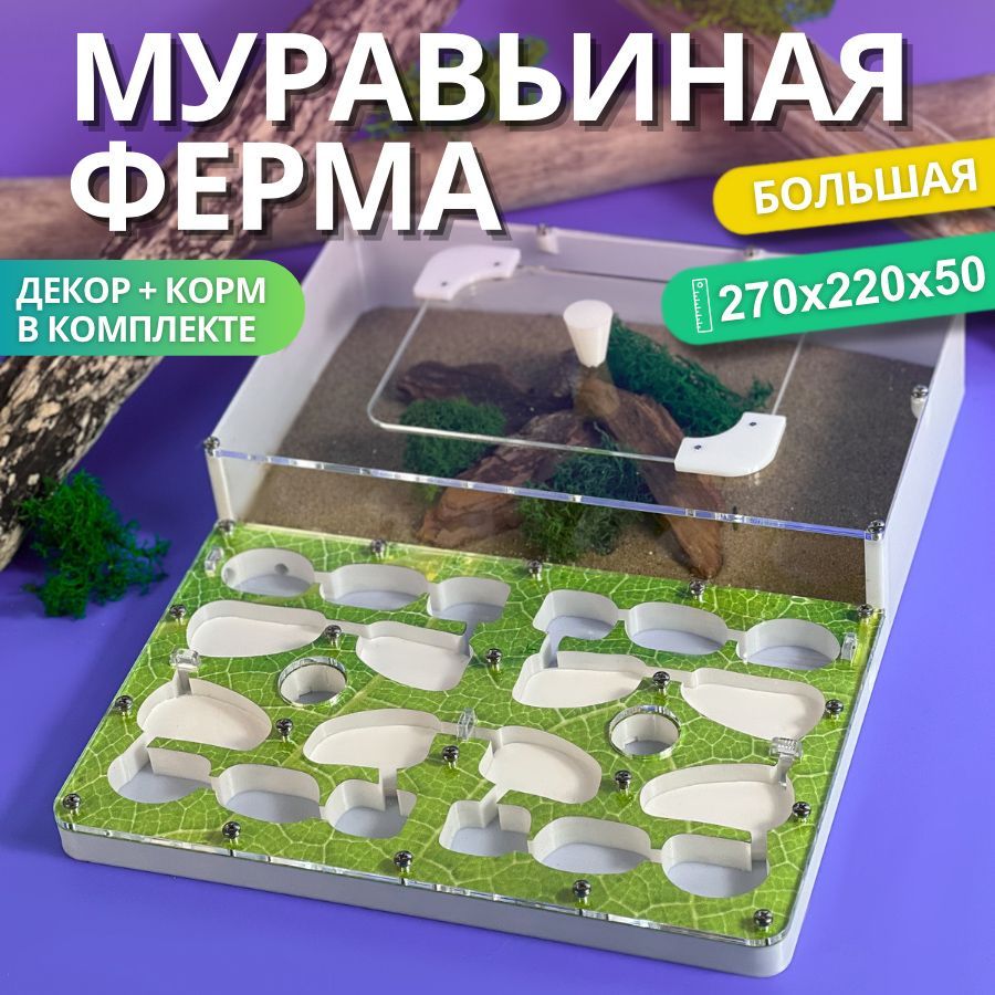 Большая муравьиная ферма AntBerry. ПОЛНЫЙ комплект. Формикарий для муравьев