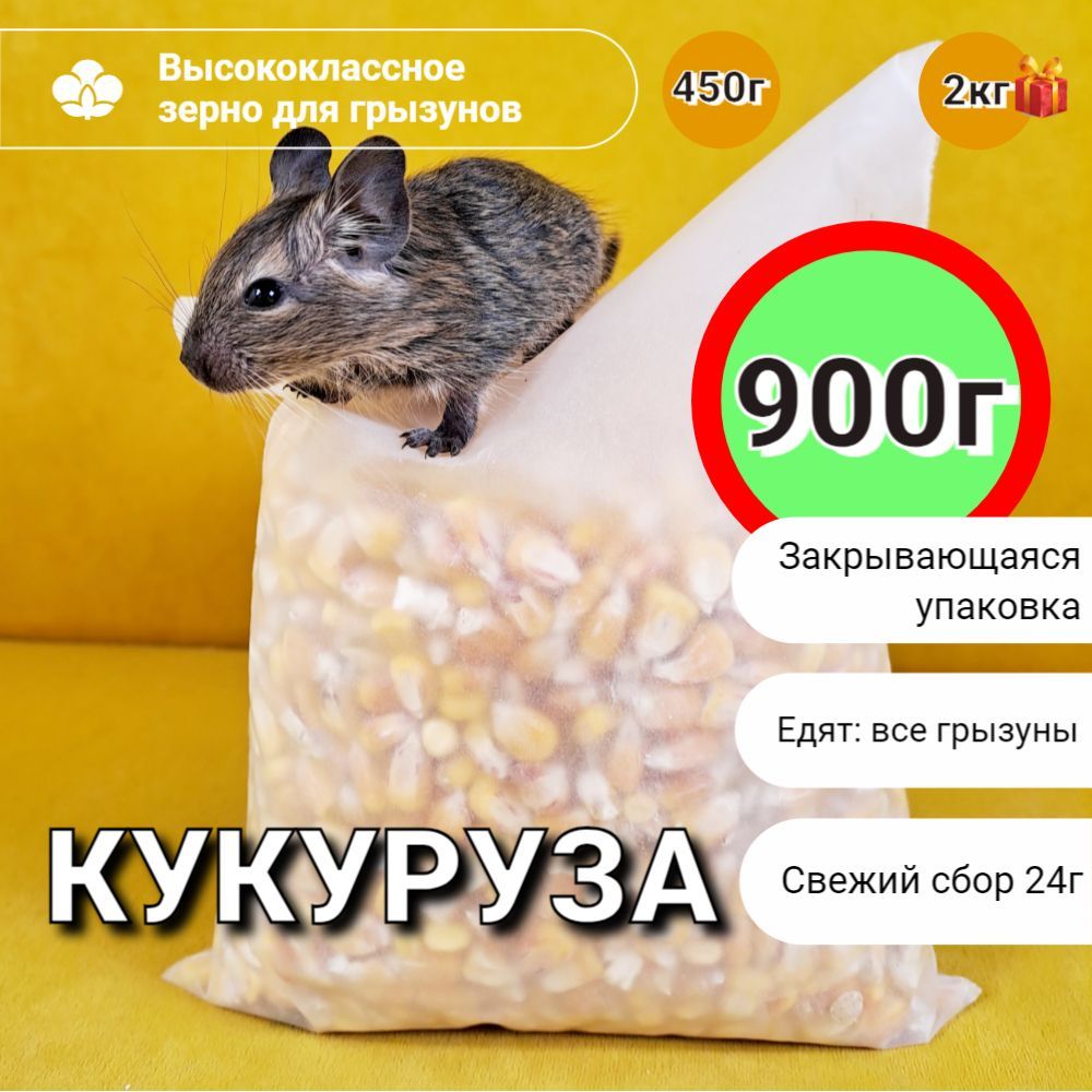 Кукуруза корм для хомяков и других грызунов