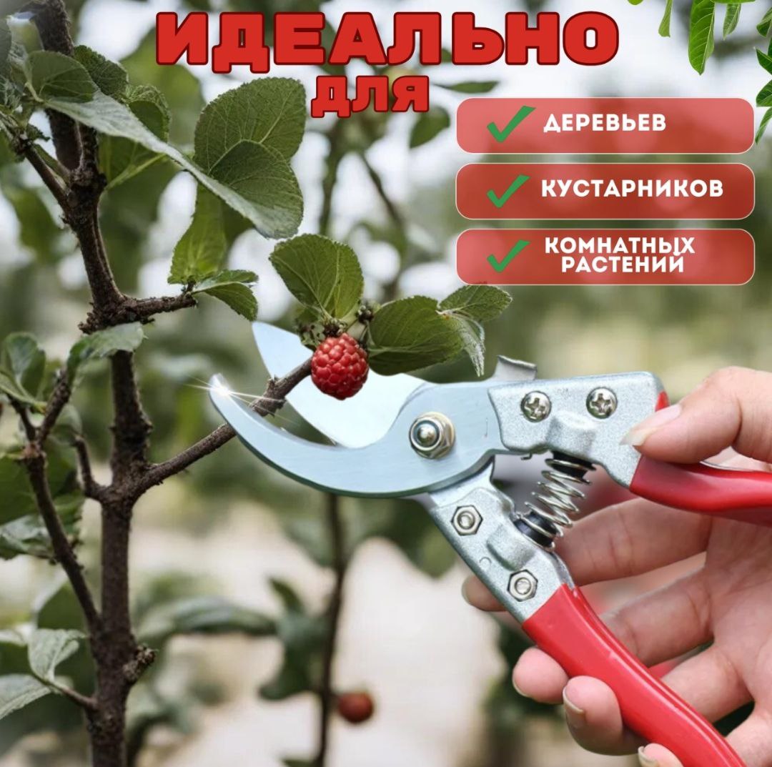 Секатор садовый / для сада / дачи и растений(图1)