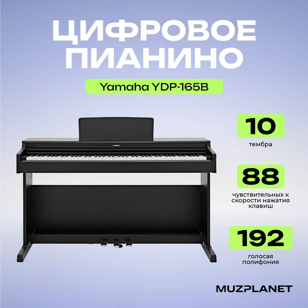 Цифровое пианино Yamaha YDP-165B #1