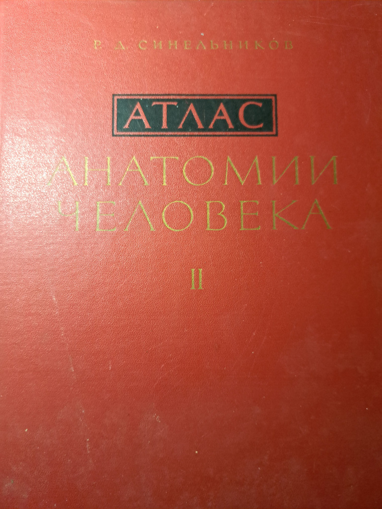 Атлас анатомии человека 2 том - купить с доставкой по выгодным ценам в ...