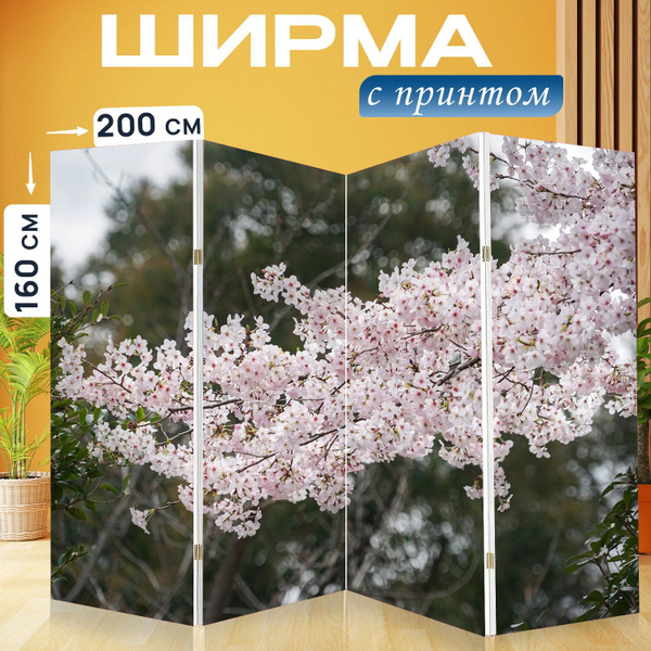 Ширма LotsPrints материал - Холст - купить по доступным ценам в ...