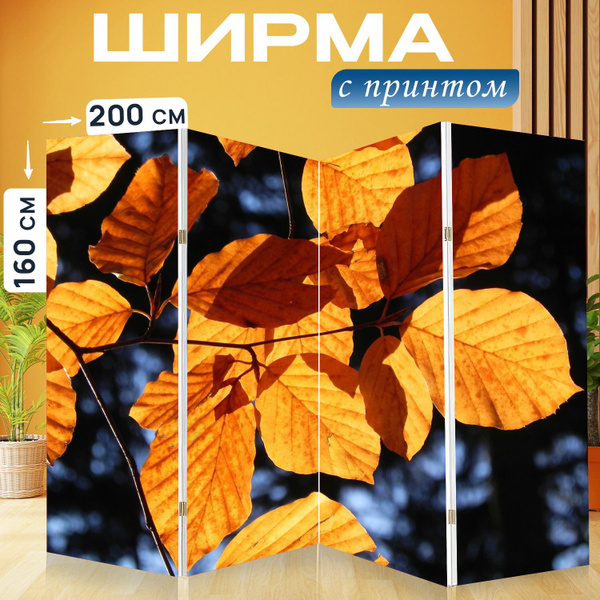 Ширма LotsPrints материал - Холст - купить по доступным ценам в ...