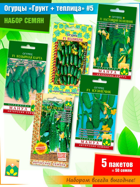 Огурцы Агрофирма манул Огурцы Манул #5 - купить по выгодным ценам в ...