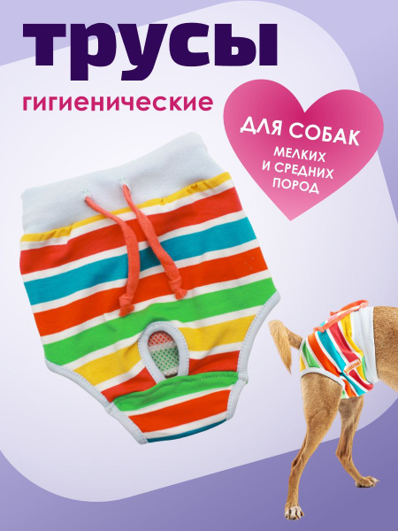 Трусы для собаки во время течки, Светлая полоса, размер M (2), Family ...
