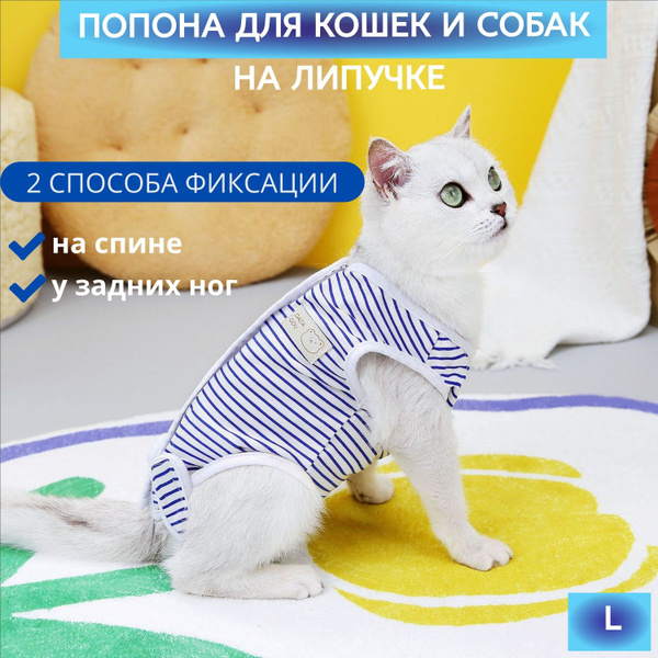 Попона после стерилизации и операций для кошек и мелких собак - купить ...