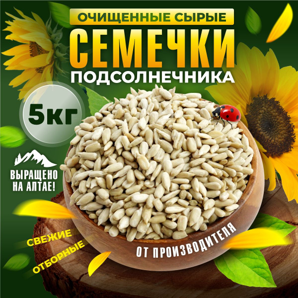 Семечки подсолнечника. Семечка с Алтая очищенная, сырая. Ядро ...