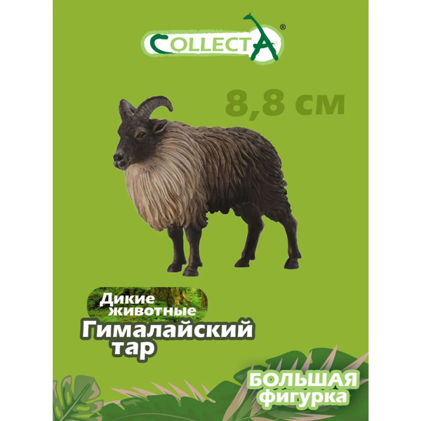 Игрушка Collecta Гималайский тар фигурка животного - купить с доставкой ...