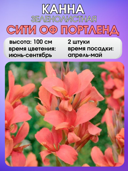 Клубни Russian Garden купить по выгодной цене в интернет-магазине OZON ...