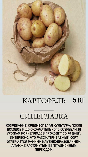 Картофель семенной клубни для посадки 5 кг купить на OZON по низкой ...