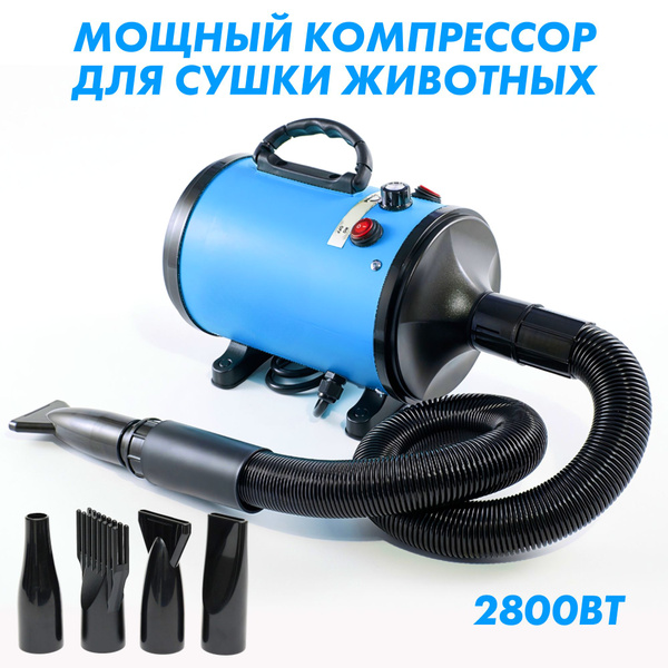 Фен для сушки животных. Фен для сушки животных