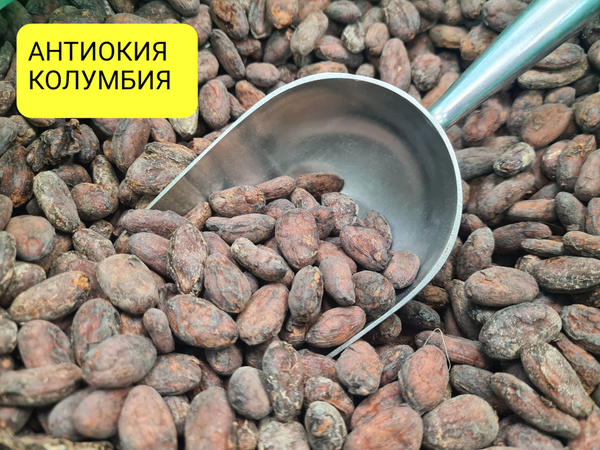 Какао-бобы Криолло Антиокия Эспина де Аликанте, Колумбия 250 гр / Аль ...