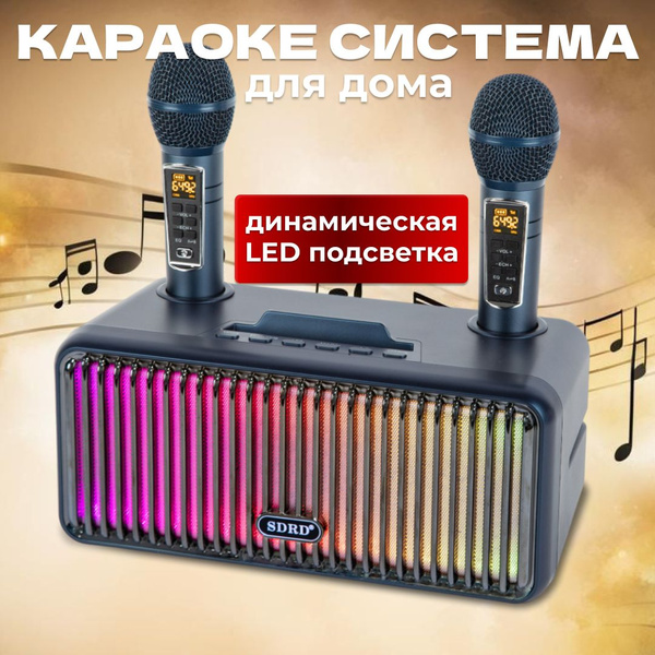 Караоке система для дома SDRD SD-319 Pro синяя двумя микрофонами для ...