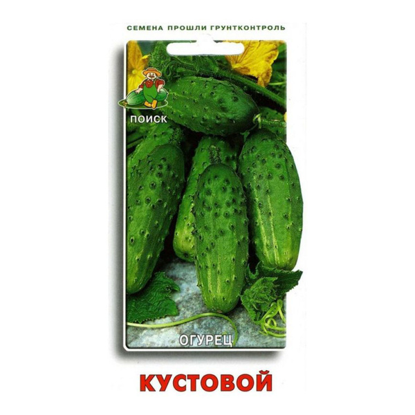 Купить Семена Огурцов Кустовой