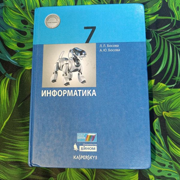 информатика 7 класс Босова с 2019 по 2022 год | Босова Л. Л., Босова ...
