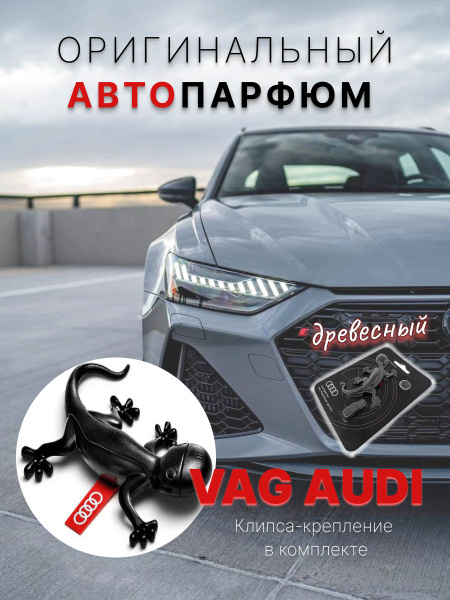 VAG (VW/Audi/Skoda/Seat) Ароматизатор автомобильный, древесный - купить ...