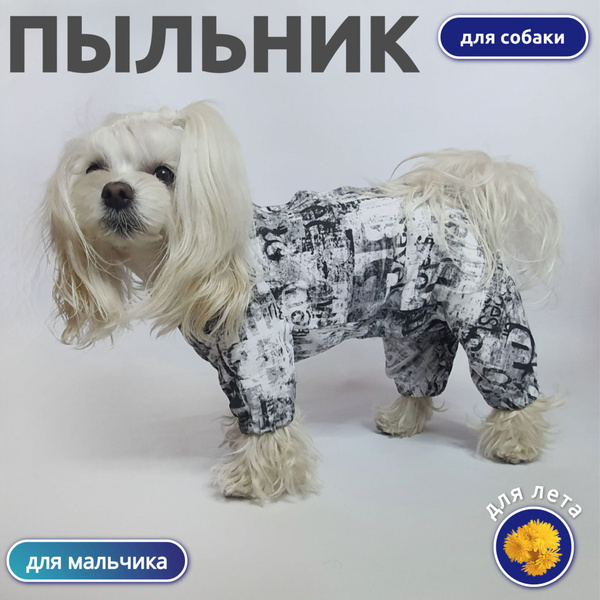 Пыльник для собак (мальчиков) - купить с доставкой по выгодным ценам в ...