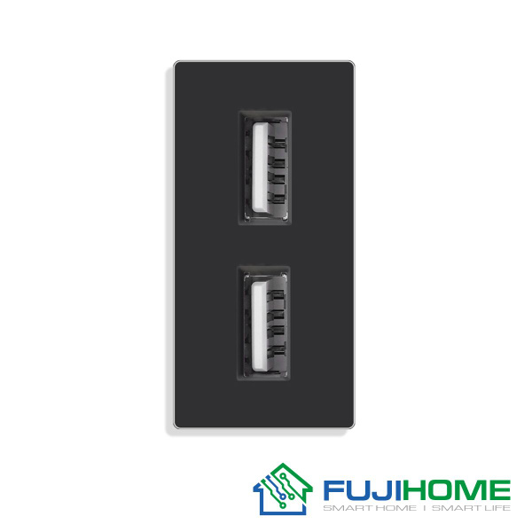 Модуль розетки на 1/2 с 2 USB гнездами, FUJIHOME 86-1/22USB-BK цвет ...