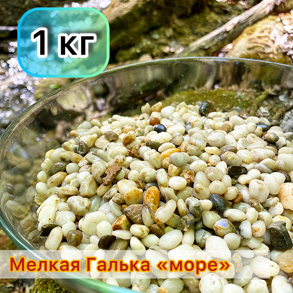 Натуральный грунт для аквариума, растений, террариума, суккулентов ...