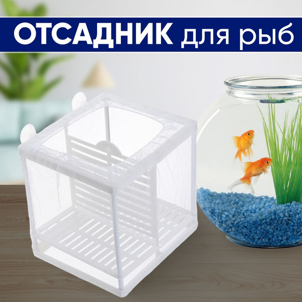 Отсадник для рыб, белый, 16 x 15 x 14 см, средний с перегородкой ...
