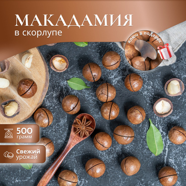 Макадамия 500г, орехи - купить с доставкой по выгодным ценам в интернет ...