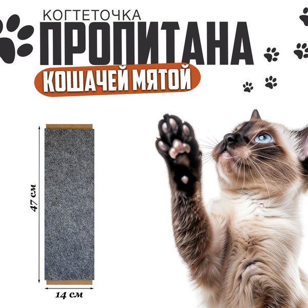 Когтеточка настенная - купить с доставкой по выгодным ценам в интернет ...