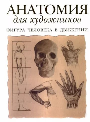Анатомия для художников. Фигура человека в движении | Флинт Том ...