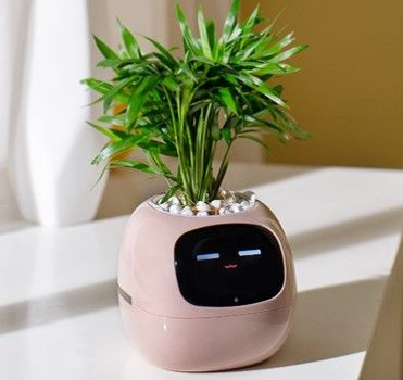 Умный горшок для комнатных растений с эмоциями/ Умный горшок Ivy Smart ...