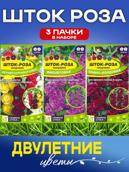 Роза, Розы Семена Алтая Алтай эустома - купить по выгодным ценам в ...