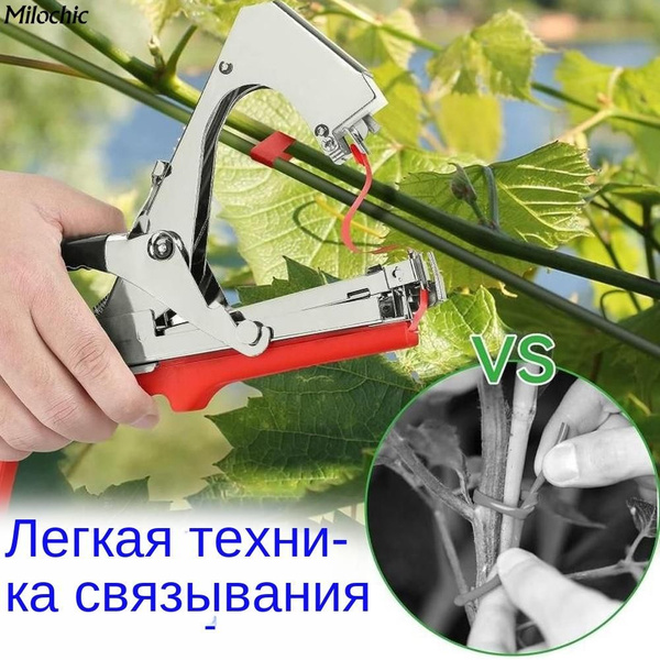 Лента для растений - купить с доставкой по выгодным ценам в интернет ...