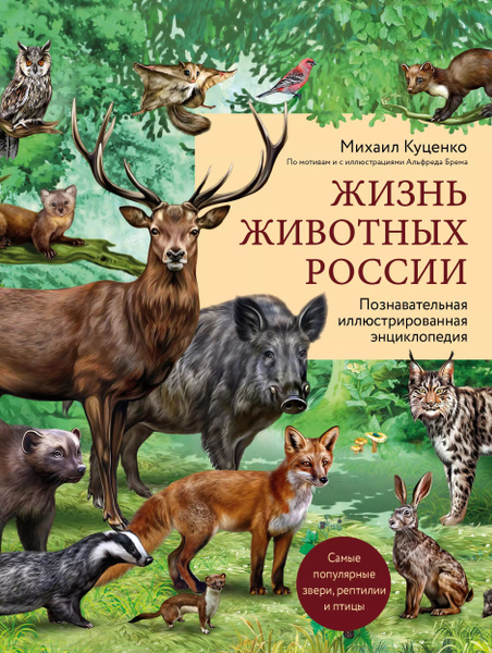 Жизнь животных России. Познавательная иллюстрированная энциклопедия ...