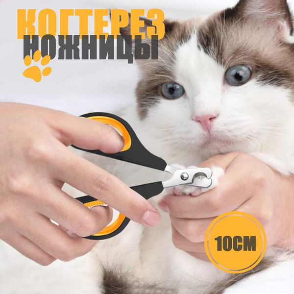 Когтерез-ножницы для кошек и собак малых пород, Зоотовар для груминга ...