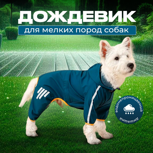 дождевик для собак мелких пород купить на OZON по низкой цене (1602892204)