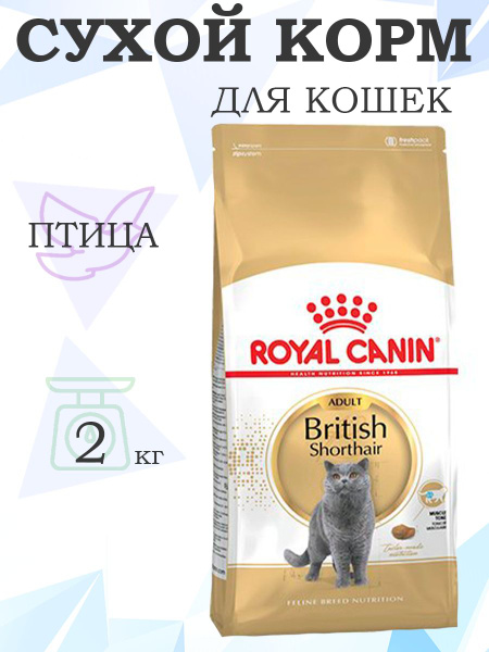 Royal Canin Breed cat British Shorthair / Роял Канин корм для кошек ...