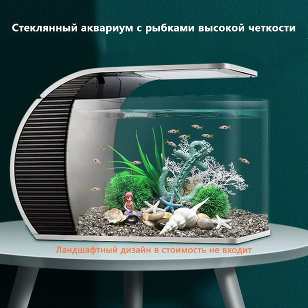 Стеклянный аквариум с рыбками высокой четкости, изогнутая форма ...