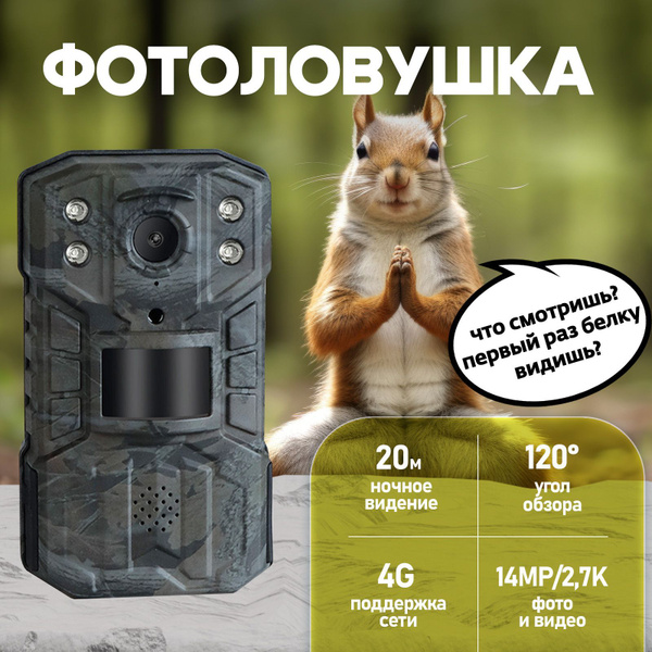 Фотоловушка для охоты, охраны, дачи - купить с доставкой по выгодным ...